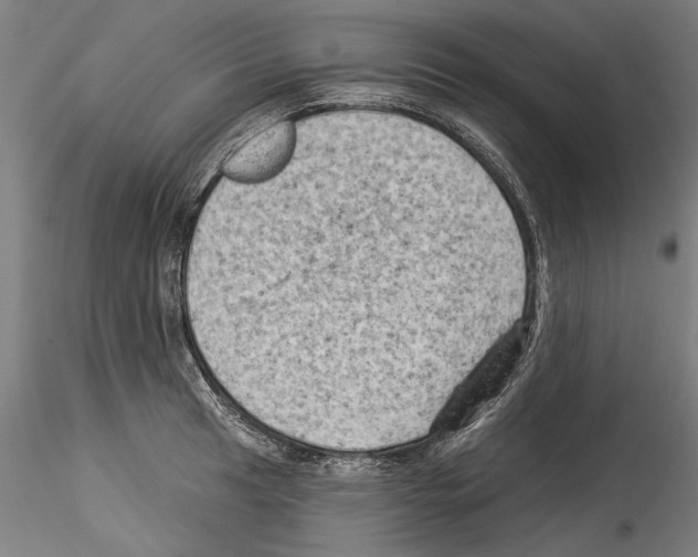 X0000114531041200911301134