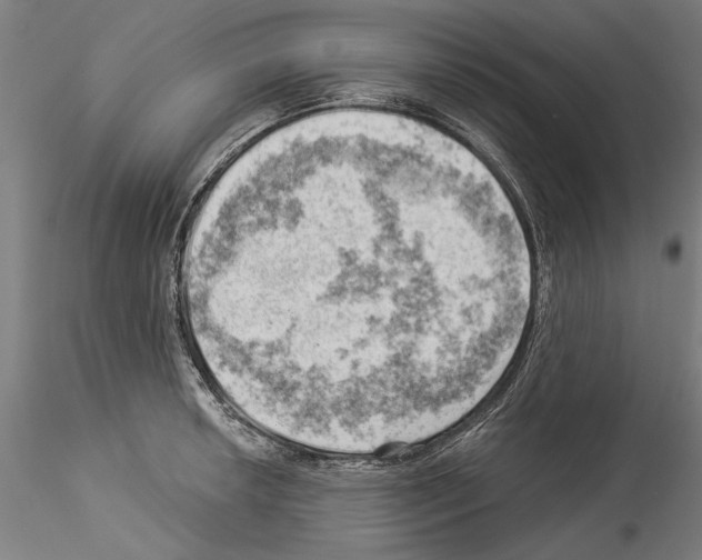 X0000114531042200911301134