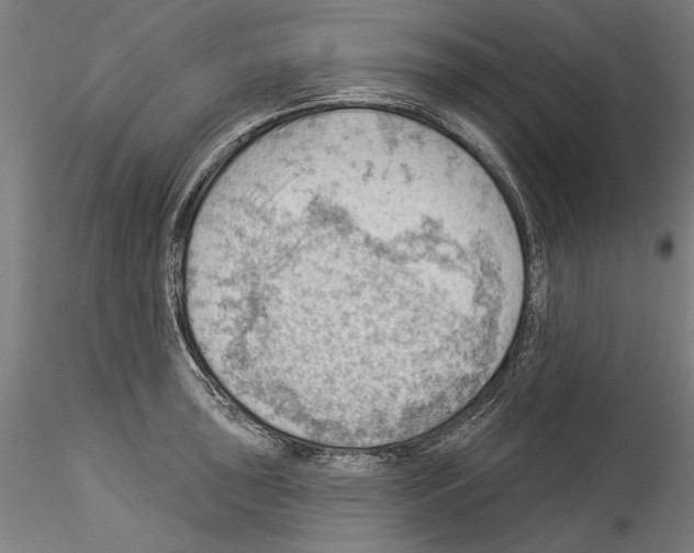 X0000114531043200911301134