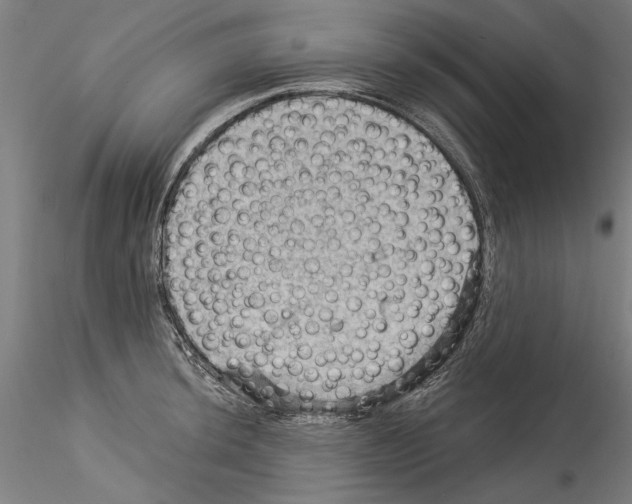 X0000114531044200911301134