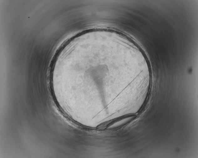 X0000114531045200911301134