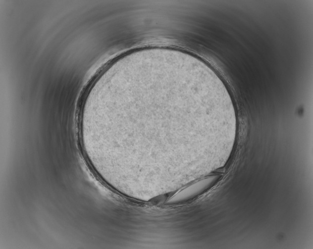 X0000114531046200911301134