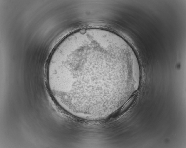 X0000114531047200911301134