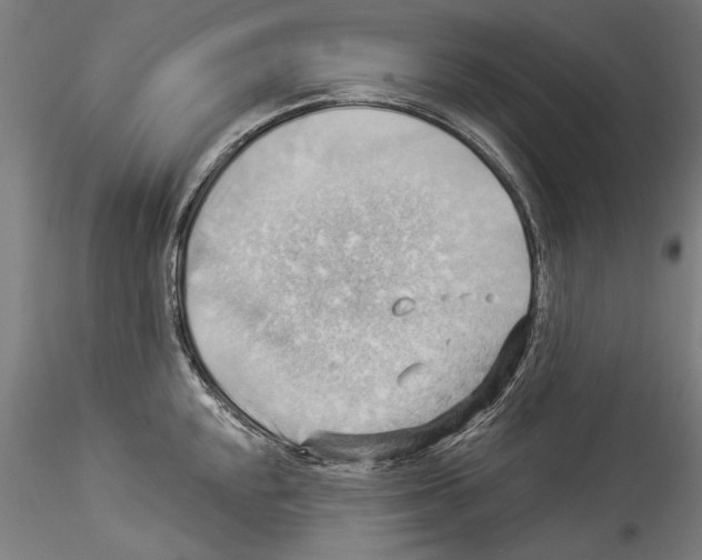 X0000114531048200911301134