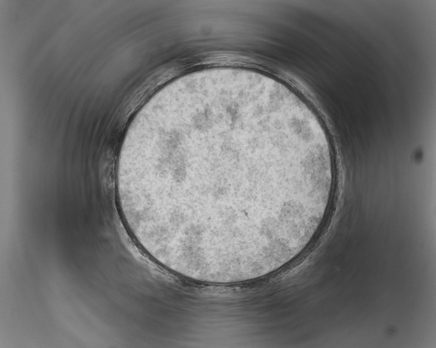 X0000114531049200911301134