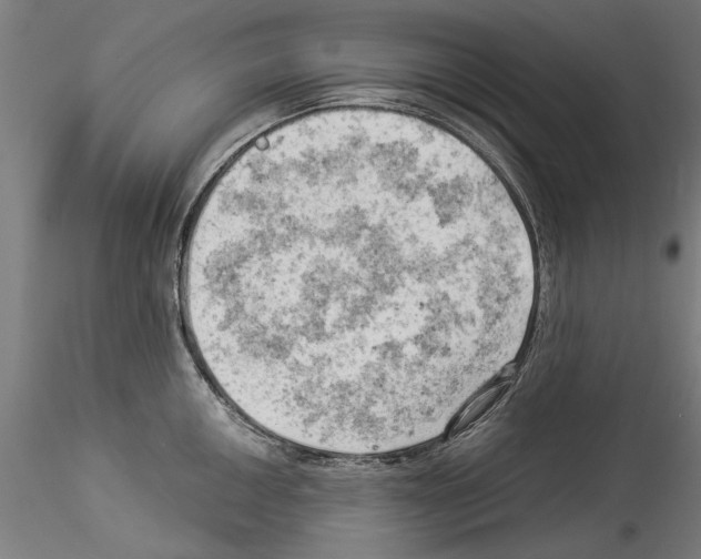 X0000114531050200911301134