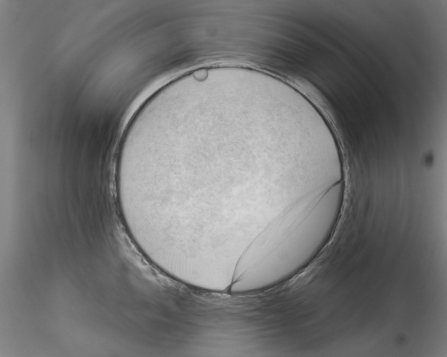 X0000114531052200911301134