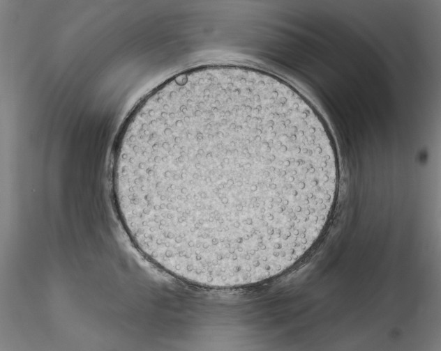 X0000114531053200911301134