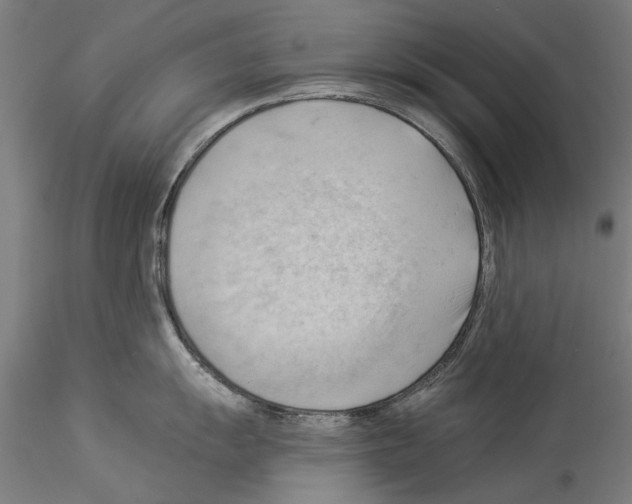 X0000114531055200911301134