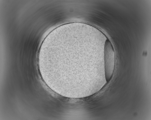 X0000114531056200911301134