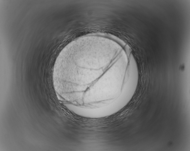 X0000114531057200911301134