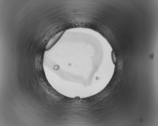 X0000114531060200911301134