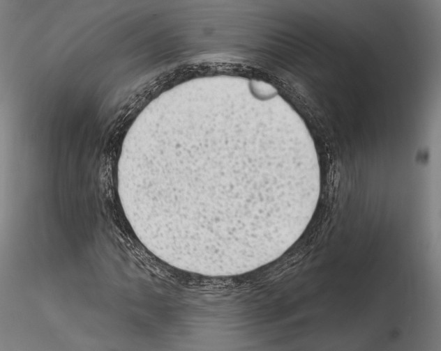 X0000114531062200911301133