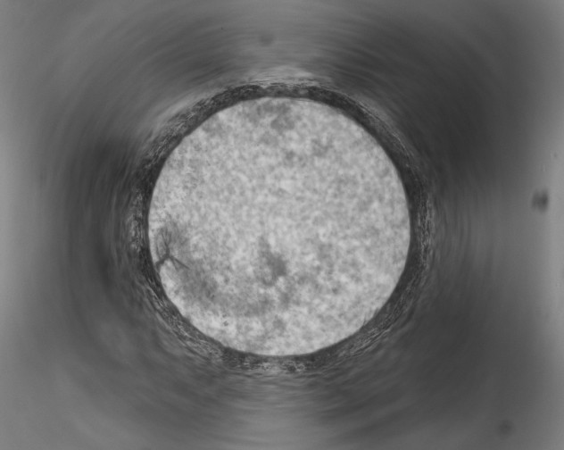 X0000114531063200911301133