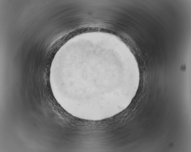 X0000114531064200911301133