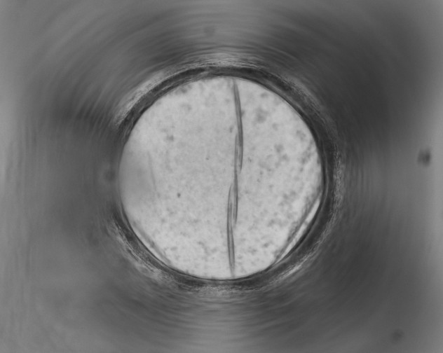 X0000114531065200911301133