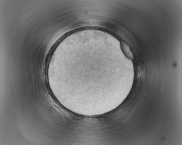 X0000114531068200911301133