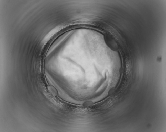 X0000114531069200911301133