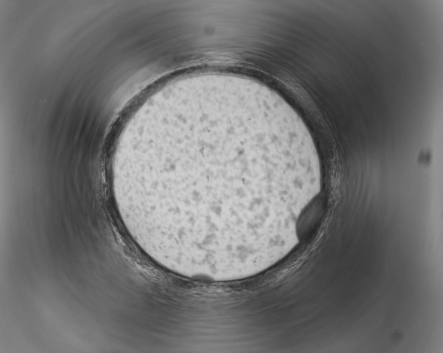 X0000114531070200911301133