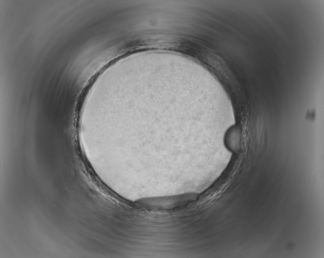 X0000114531071200911301133