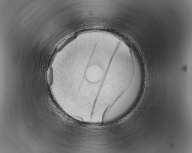 X0000114531073200911301133