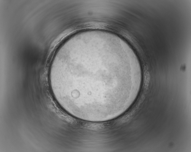 X0000114531074200911301133