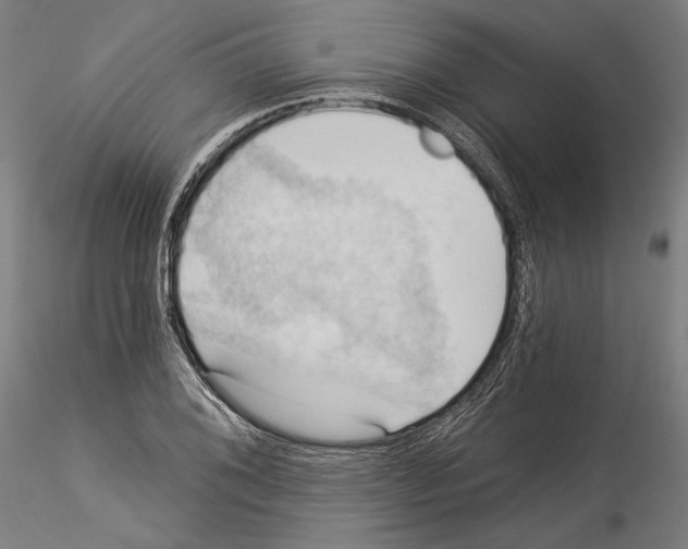 X0000114531076200911301133