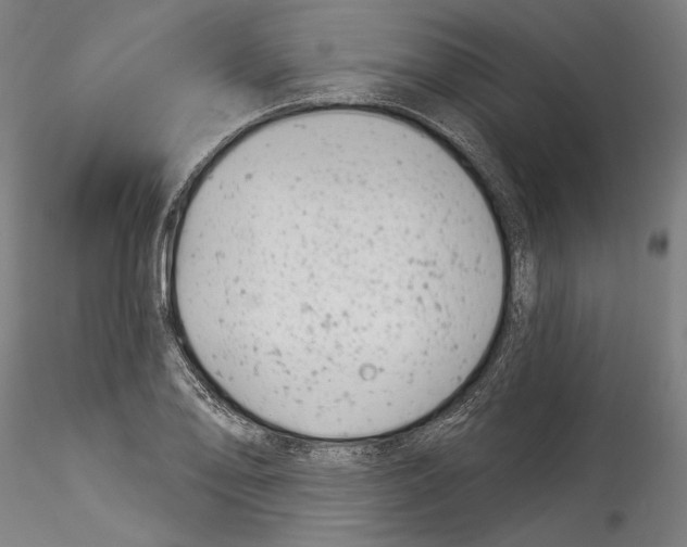 X0000114531078200911301133