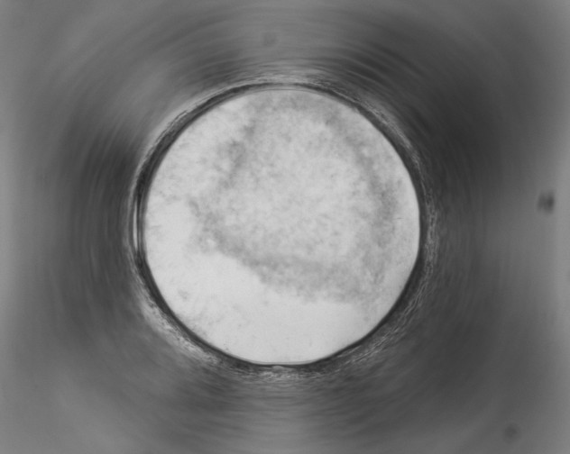 X0000114531080200911301133