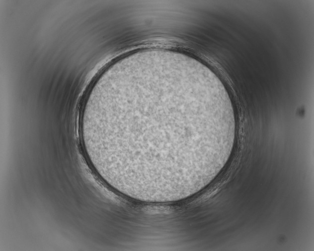 X0000114531083200911301133