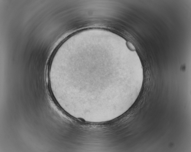 X0000114531084200911301133