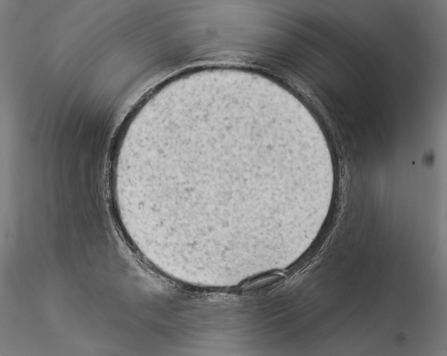 X0000114531085200911301133