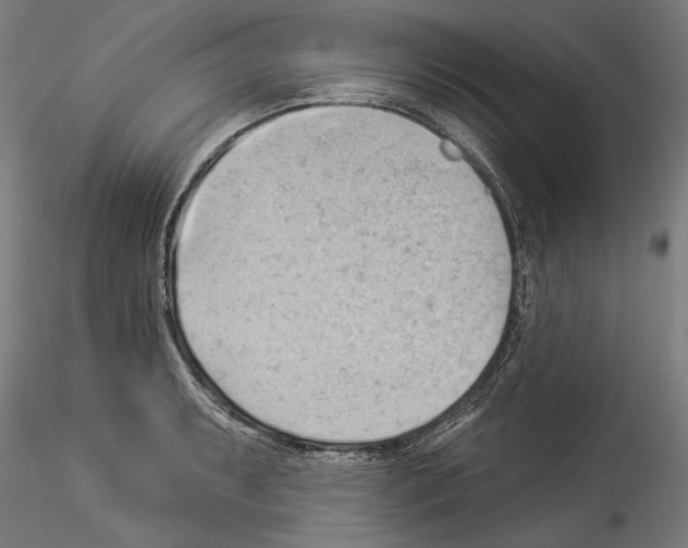 X0000114531087200911301133