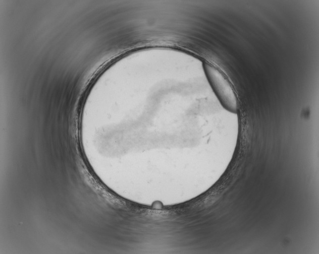 X0000114531088200911301133