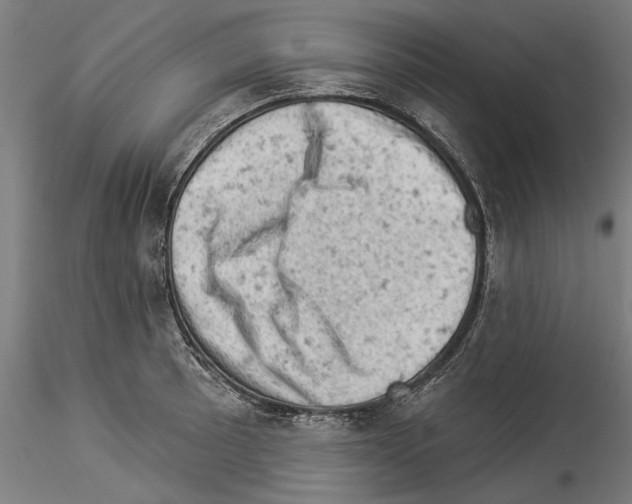 X0000114531089200911301133