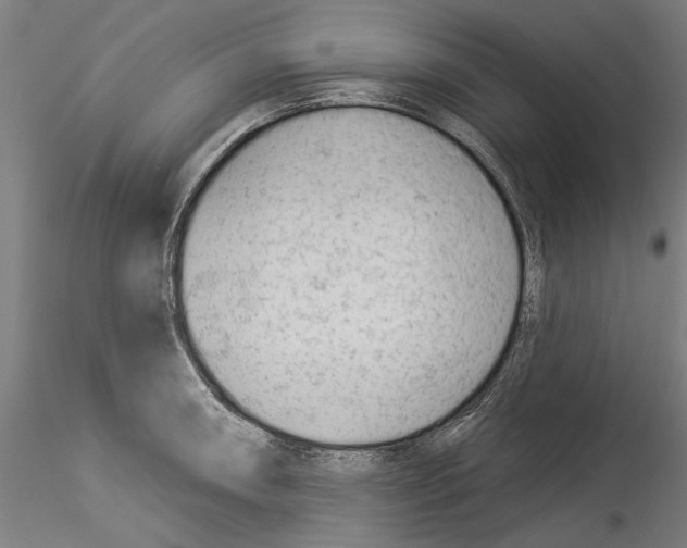 X0000114531090200911301133