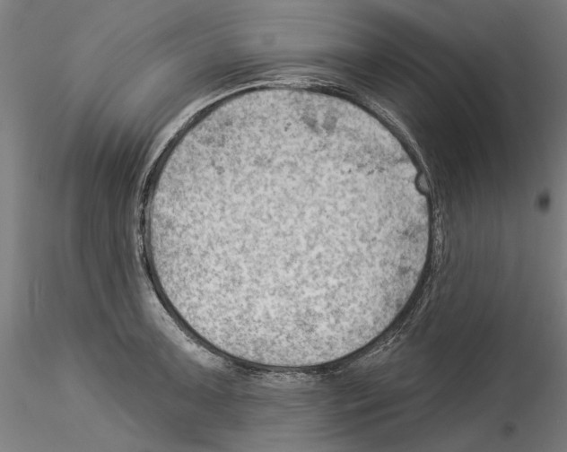 X0000114531091200911301133