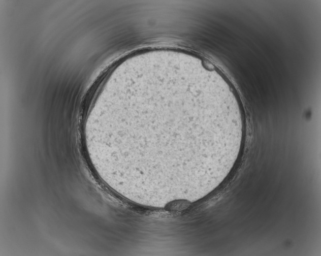 X0000114531093200911301133