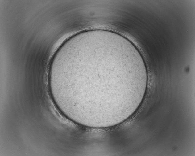 X0000114531094200911301133