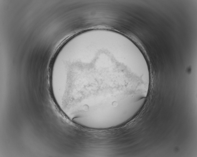 X0000114531096200911301133