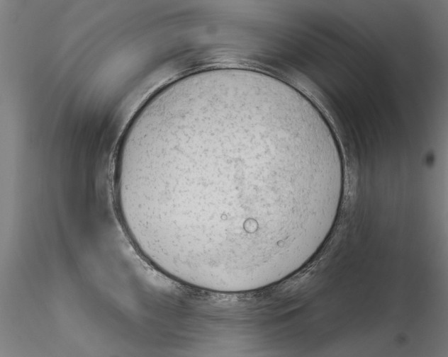 X0000114531098200911301133