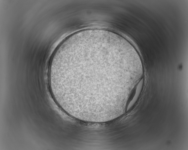 X0000114531099200911301133