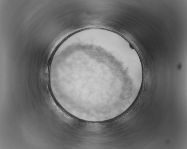 X0000114531100200911301133