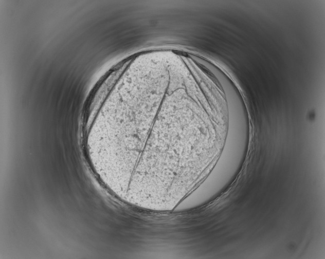 X0000114531101200911301133