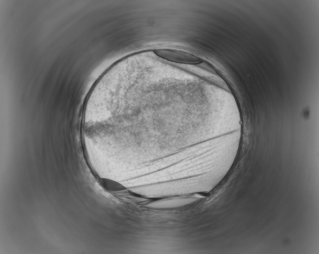 X0000114531102200911301133