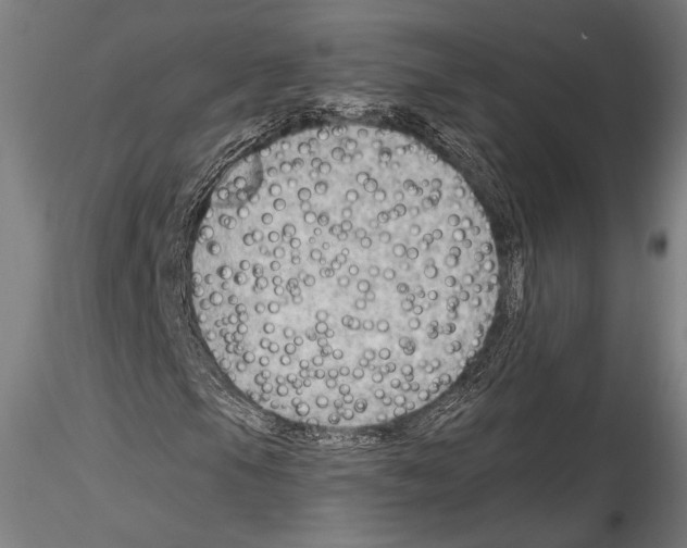 X0000114531105200911301132