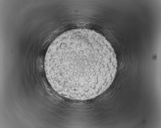 X0000114531106200911301132