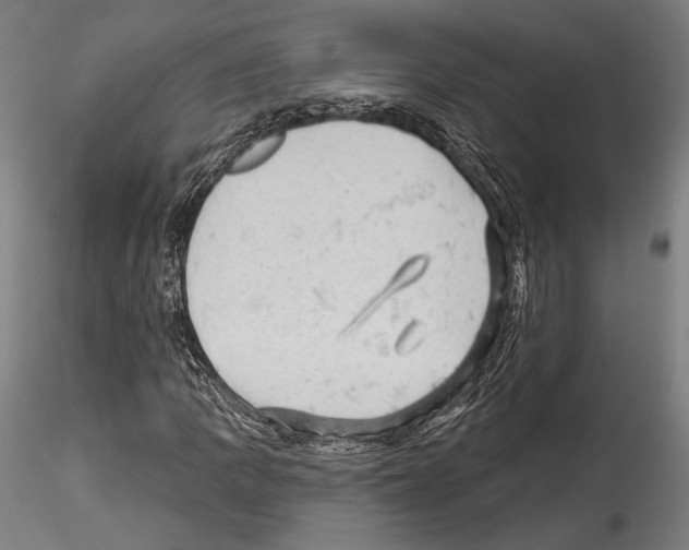 X0000114531109200911301132