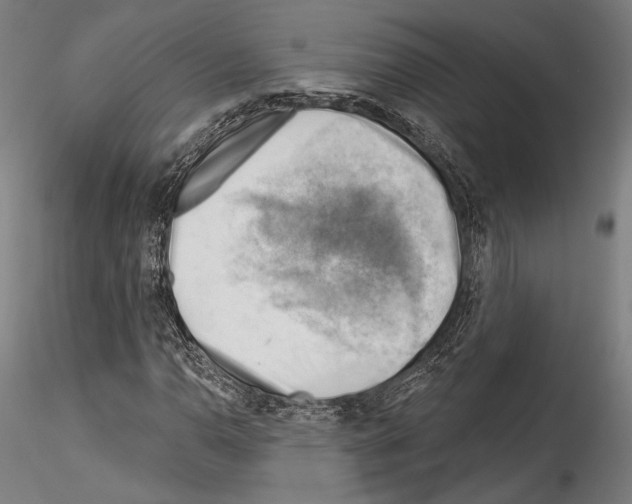 X0000114531110200911301132