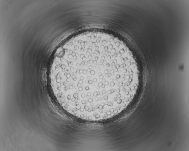 X0000114531113200911301132